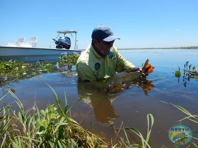 PIRA LODGE - Pantanal Argentino - Temporada 2.016